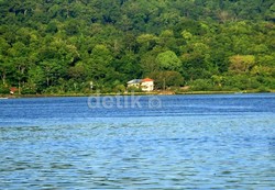 Jaksa: 8 Terpidana Mati Tidak Ditutup Matanya Saat Dieksekusi