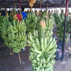 Dulu Dimiliki Asing, Kini Produsen Buah Sunpride 100% Milik Perusahaan Lokal