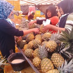 Selain Pisang, Ini Nanas Merek Sunpride yang Laku Keras dan Diekspor ke Jepang