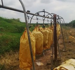 Pakai Cabel Way yang Ditarik Manusia, Buat Pisang Sunpride Mulus