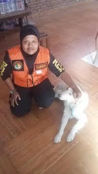 Ini Kisah Alfa dan Delta, Anjing Pencari Korban Gempa Nepal