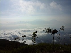 Wajib Coba! Mendaki Gunung Sumbing Via Mangli