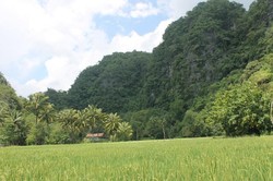 Terpesona Indahnya Rammang-rammang di Sulawesi Selatan