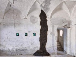 Idih! Museum di Italia Koleksi Tahi Sapi