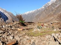 Tim Gabungan di Nepal Mencari 3 WNI