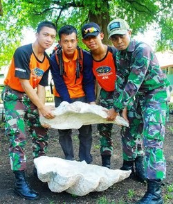 Pemkab Alor Disarankan Jaga Konservasi di Lokasi Penemuan Kerang Raksasa Purba