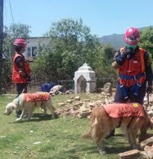 Tim SAR Dog Jakarta Rescue Temukan Mayat di Reruntuhan Bangunan