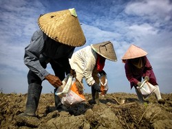 I love the idea of all for one especially if that one is me