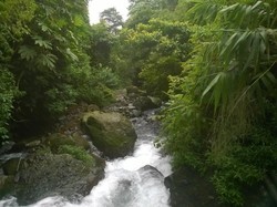 Ini 2 Curug Indah di Jonggol