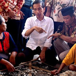 Pak Jokowi Bukan di Atas Kertas, Tapi Terjun ke Lokasi