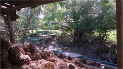 Dibatasi Parit Kecil, Orang RI Kirim Sawit ke Malaysia Pulang Bawa Sembako