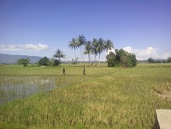 Warga Lihat Pria Bersenjata Tidur di Gubuk, Polisi Kembali Sisir Aceh Besar