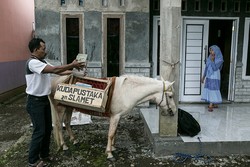 Kisah Inspiratif Ridwan dan Kuda Pustaka Penebar Ilmu di Purbalingga