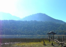 Gunung Argopuro Punya Danau Taman Hidup yang Mistis