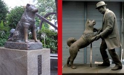 Akhirnya, Hachiko Dipertemukan dengan Tuannya