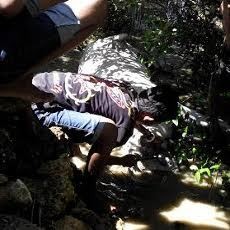 Bangkai Anjing Laut Ditemukan di Sumenep