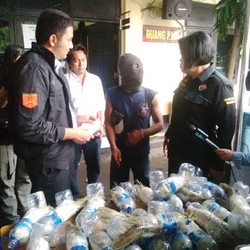 Polisi Buru Penyelundup Sadis yang Masukkan 21 Kakatua ke Botol Air Minum