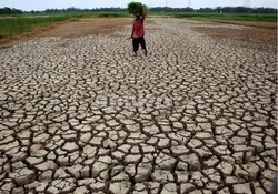 Sedih! Dari 77,3 Juta Ha Lahan Pertanian, Hanya 3% yang Punya Waduk