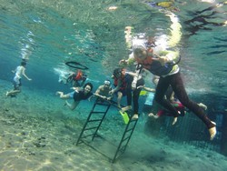 Bosan Snorkeling di Laut? Coba di Air Tawar!