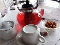 Minum Teh yang Asyik di Lereng Gunung Lawu