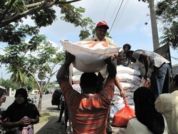 Baru Serap 25% Beras Petani, Bulog Dianggap Lelet