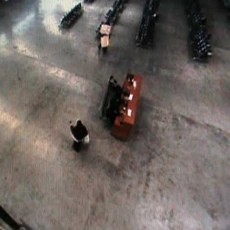 Misteri Perempuan Berjilbab Diduga Pemilik 42 Kotak Ganja