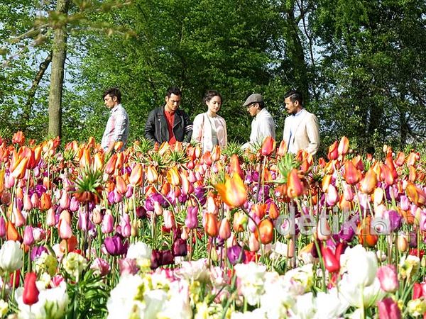 Menikmati Keindahan Bunga Tulip Belanda di Film 'Negeri van Oranje'