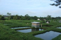 Asyiknya Wisata Keluarga di Kampung Lele, Boyolali