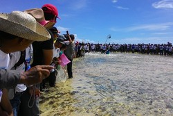 Mancing Pakai Janur Bisa Dapat 2 Ton Ikan, Kok Bisa?