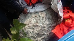 Ditaruh di Kelurahan Tomang, Begini Kondisi Batu Akik Jl Mandala