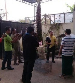 #SaveSiJambulKuning, Konsultan Kapal di Balikpapan Kembalikan Kakatua ke BKSDA