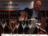 Yuk Melihat Kebun Anggur dan Pembuatan Wine di Australia