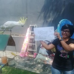 Serahkan Si Jambul Kuning, Pemilik: Ngenes Kalau Diletakkan di Kebun Binatang