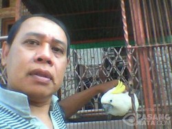 Pemilik Menanti Kabar BKSDA DKI untuk Menjemput Si Jambul Kuning