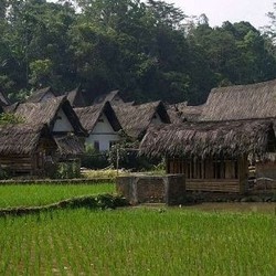 Punya Potensi 1,2 Juta Hektar Sawah, Merauke Bisa Jadi Lumbung Padi Nasional