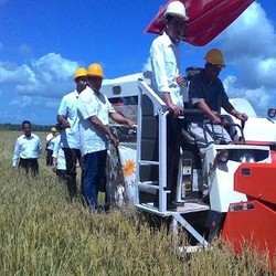 Jokowi Ingin Merauke Jadi Pusat Pertanian Modern Pertama di RI