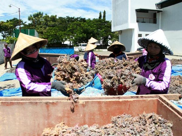 Kredit Sektor Kemaritiman BNI