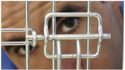 Hidup di Negara Tanpa Liburan