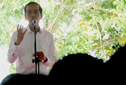 Jokowi Bagikan 3 Kartu Sakti dan Kartu Disabilitas di Manokwari