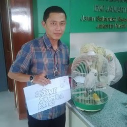 Dua Mahasiswa Serahkan Kakatua Jambul Kuning ke Kantor BKSDA DKI