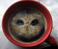 Deretan Foto Ilusi yang Menipu Mata