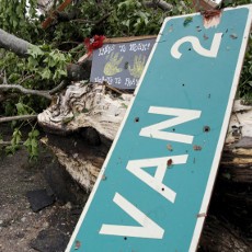 5 Orang Tewas Akibat Badai Besar di Wilayah Selatan AS