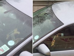 Bosan dengan Kemacetan, Pria Ini Nyetir Sambil Main Gitar