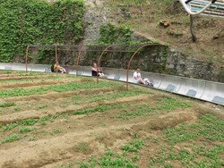 Perosotan Ngeri Tapi Asyik di Tembok Besar China