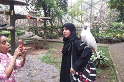 Soal Turis Muslim, Indonesia Masih Kalah dari Negara Tetangga