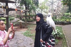 Kemenpar Terus Bidik Wisman Timur Tengah