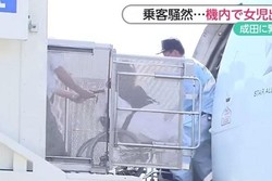 Dramatis! Penumpang Melahirkan dalam Pesawat Air Canada