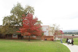 Yuk, Melihat Kebun Anggur & Pembuatan Wine di Australia