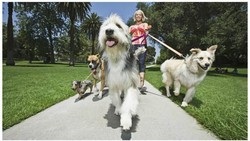 Pekerjaan Boleh Tak Keren, Tapi Gajinya Miliaran