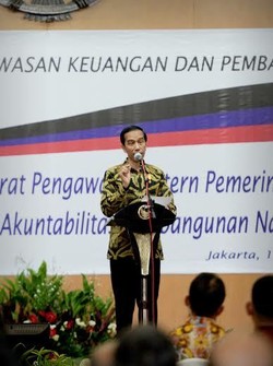 Jokowi Ingatkan Menterinya Hati-hati Terkait Organisasi Kementerian